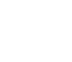 mixed fruits & berries