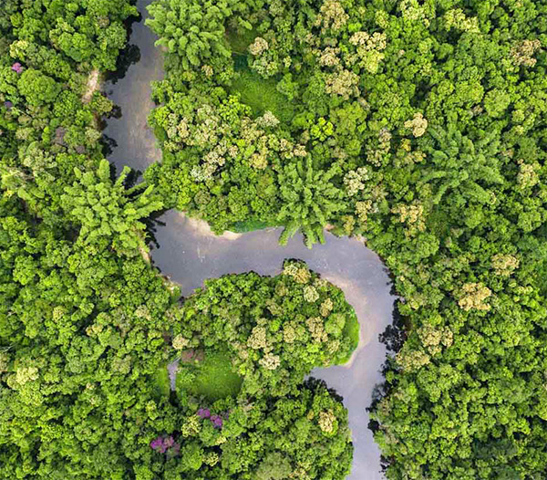 Metsänsuojelu Amazonissa
